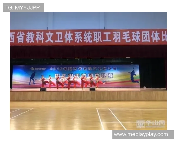 西安羽毛球队个人能力分析与发展策略探讨